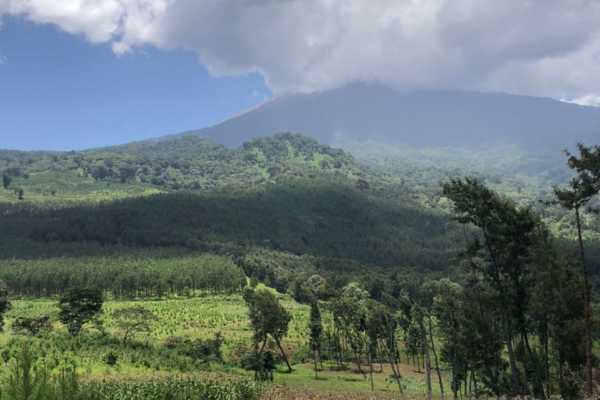 ARUSHA MOUNT MERU FOREST RESERVE - NAPURU WATERFALLS - 2hrs (Easy Level)