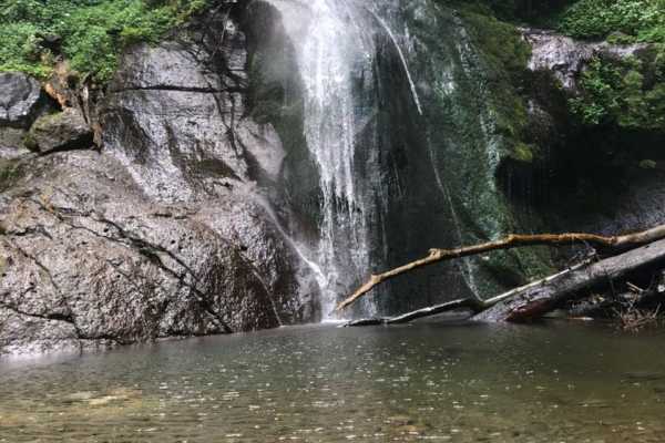 ARUSHA MOUNT MERU FOREST RESERVE - NAPURU WATERFALLS - 2hrs (Easy Level)