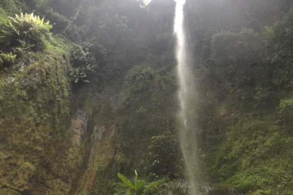 ARUSHA MOUNT MERU FOREST RESERVE - NAPURU WATERFALLS - 2hrs (Easy Level)