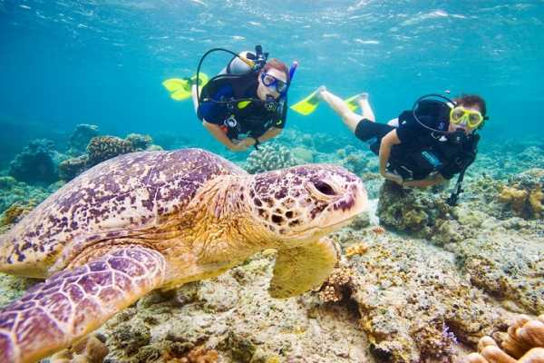 Day Scuba Diving from Sahel Hasheesh Egypt Red Sea