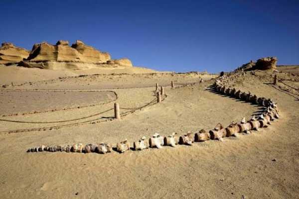 15 Day Egypt Itinerary Cairo the Oases and the Western Desert