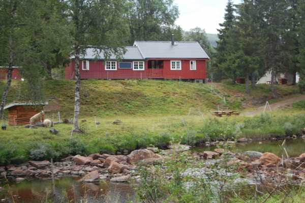 Seterkos(t) i Sn&aring;sa