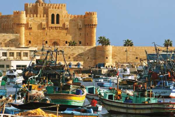 Alexandria Day Tour from Cairo