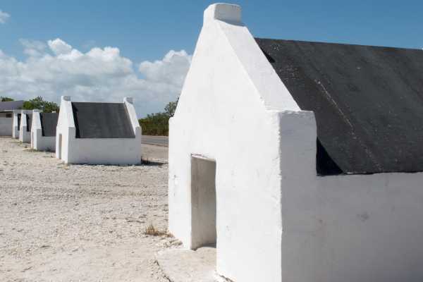 Highlights of Bonaire & Cultural Experience
