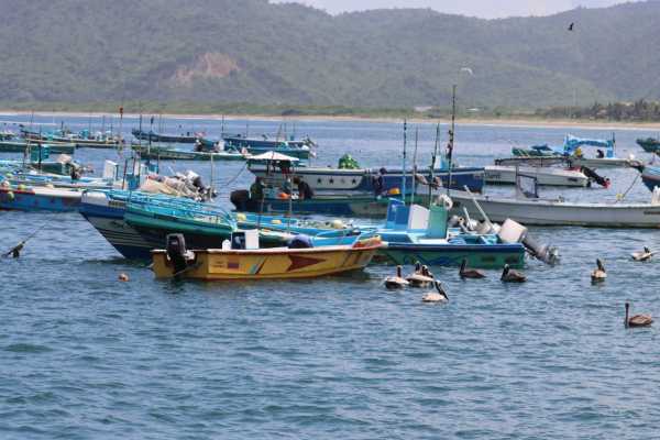 BEACH, ISLANDS AND COASTAL EXPEDITION | LOOKING FOR WHALES AND DOLPHINS | PUERTO LOPEZ | PUERTO CAYO |MONTA&Ntilde;ITA |AYANGUE | AYAMPE