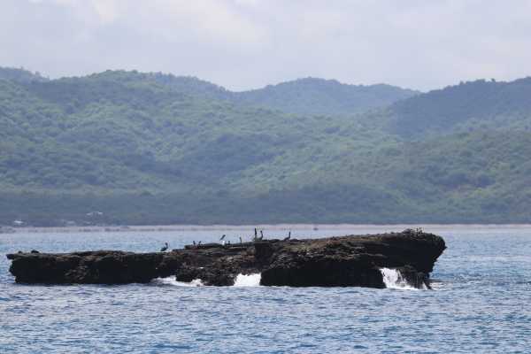 BEACH, ISLANDS AND COASTAL EXPEDITION | LOOKING FOR WHALES AND DOLPHINS | PUERTO LOPEZ | PUERTO CAYO |MONTA&Ntilde;ITA |AYANGUE | AYAMPE