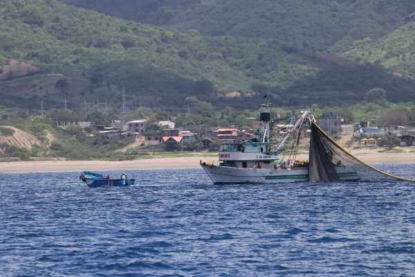BEACH, ISLANDS AND COASTAL EXPEDITION | LOOKING FOR WHALES AND DOLPHINS | PUERTO LOPEZ | PUERTO CAYO |MONTA&Ntilde;ITA |AYANGUE | AYAMPE