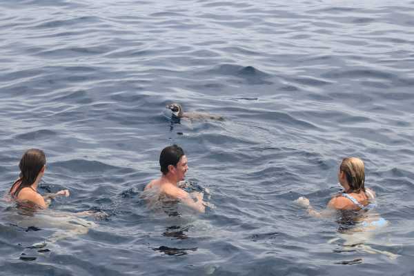 BEACH, ISLANDS AND COASTAL EXPEDITION | LOOKING FOR WHALES AND DOLPHINS | PUERTO LOPEZ | PUERTO CAYO |MONTA&Ntilde;ITA |AYANGUE | AYAMPE