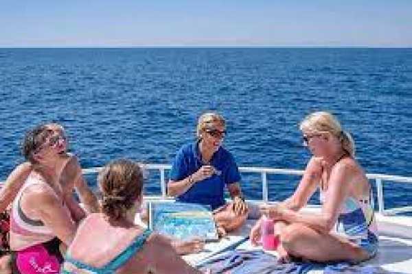 Red Sea Yacht Fishing from Cairo in Ain Sokhna ( private tour )