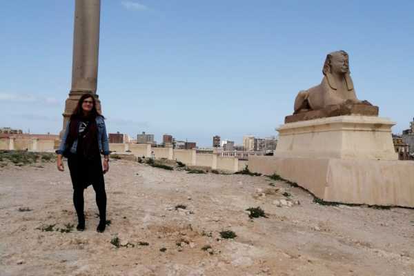 Day Tour to Citadel, Alexandria Library & National Museum From Alexandria