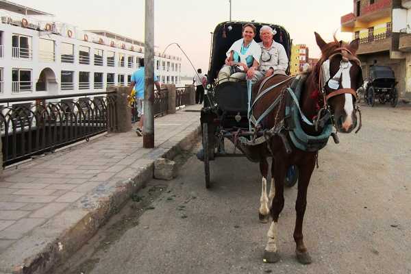 Aswan City Tour in Horse Carriage