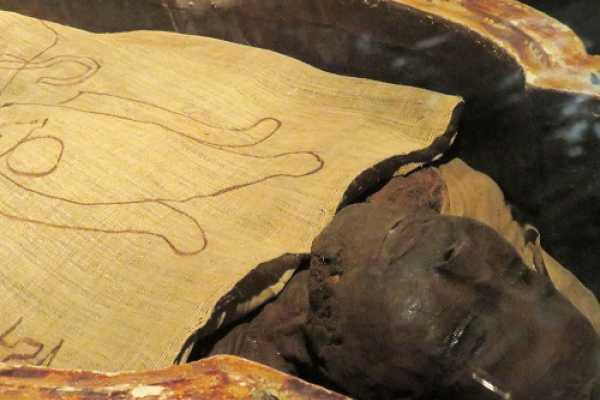Tour to Luxor Museum and Mummification Museum