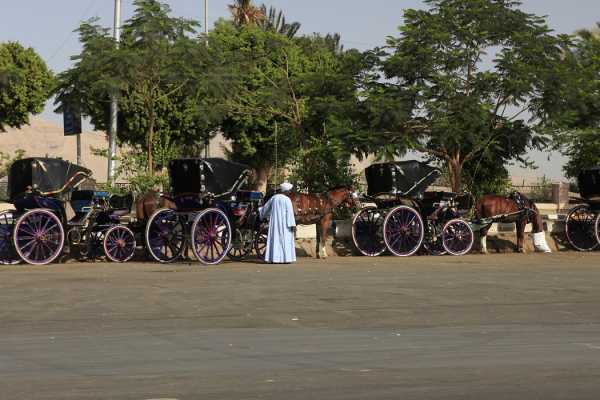 Luxor City tour by Horse Carriage