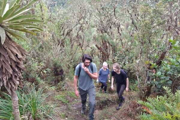 Maza Fonte Andes Mountain Trek