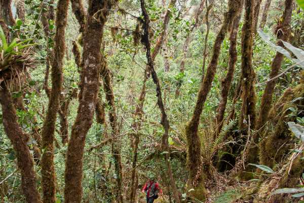 Maza Fonte Andes Mountain Trek