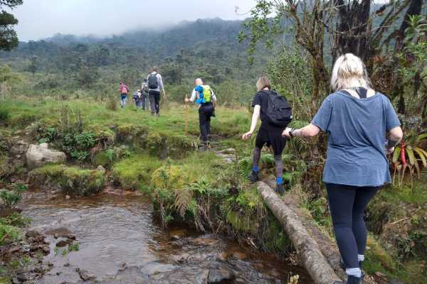 Maza Fonte Andes Mountain Trek