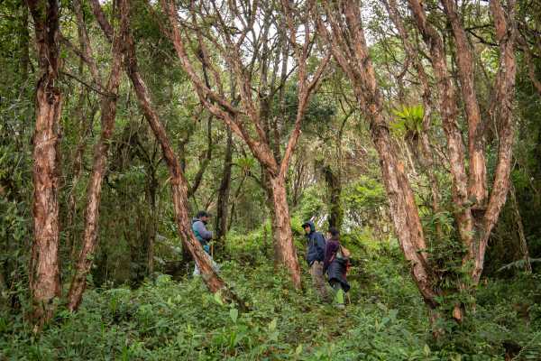 Maza Fonte Andes Mountain Trek