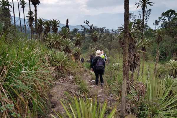 Maza Fonte Andes Mountain Trek