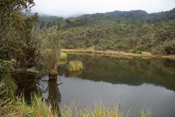 Maza Fonte Andes Mountain Trek