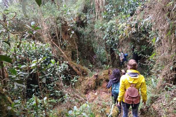 Maza Fonte Andes Mountain Trek