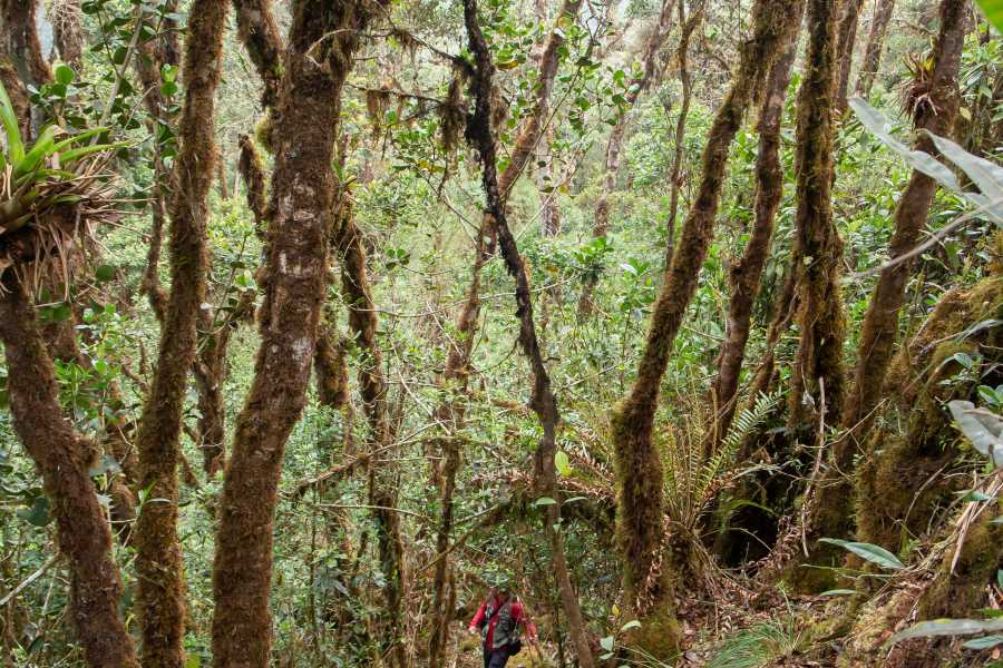 Andes Ecotours Maza Fonte Andes Mountain Trek