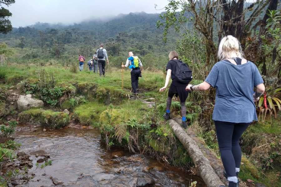 Andes Ecotours Maza Fonte Andes Mountain Trek