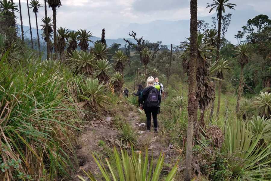 Andes Ecotours Maza Fonte Andes Mountain Trek