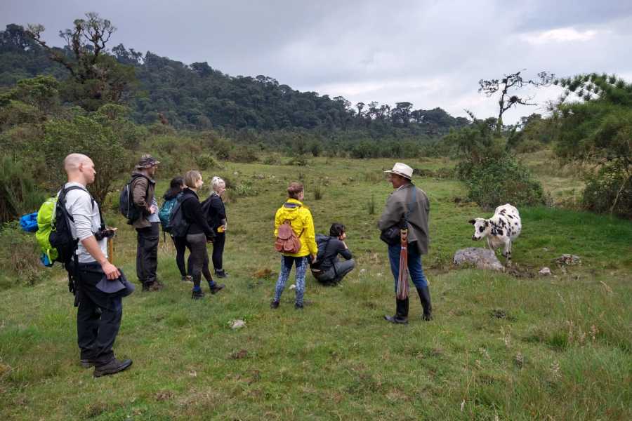 Andes Ecotours Maza Fonte Andes Mountain Trek