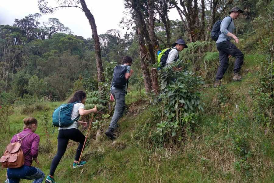 Andes Ecotours Maza Fonte Andes Mountain Trek