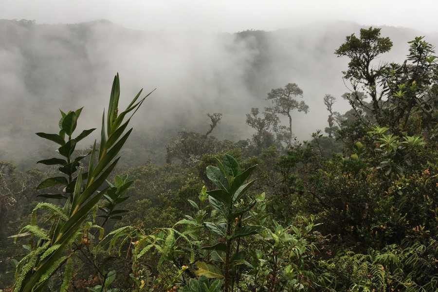 Andes Ecotours Maza Fonte Andes Mountain Trek