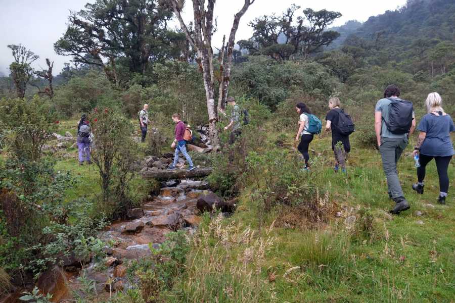 Andes Ecotours Maza Fonte Andes Mountain Trek