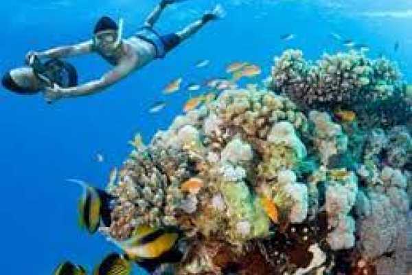 Snorkeling Trip to Tiran Island From Sharm El Sheikh Port