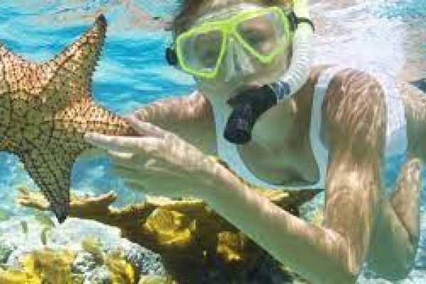 Snorkeling by Boat to Ras Mohamed From Sharm El Sheikh Port