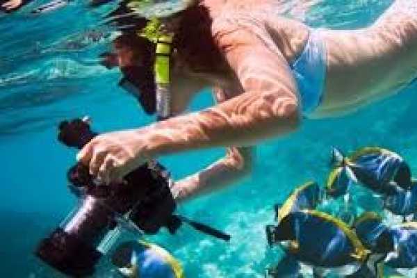 Snorkeling by Boat to Ras Mohamed