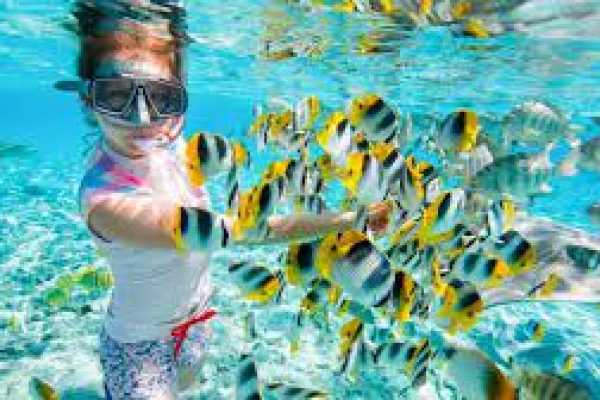Snorkeling by Boat to Ras Mohamed