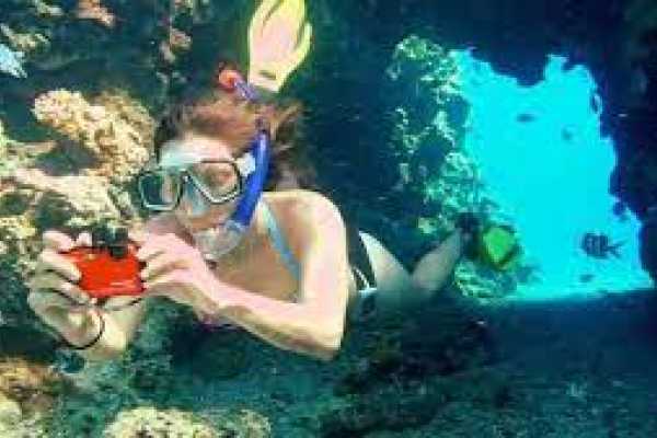 Snorkeling by Boat to Ras Mohamed