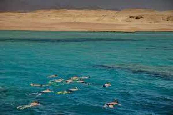 Snorkeling by Boat to Ras Mohamed