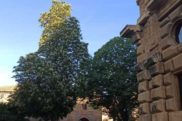 VISITA PRIVADA ALHAMBRA