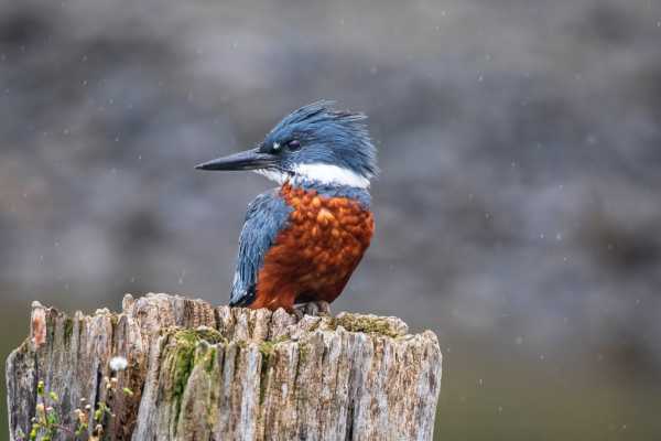 Bosque da Barra Expedition