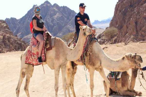 Super Safari Adventure in Sharm El Sheik