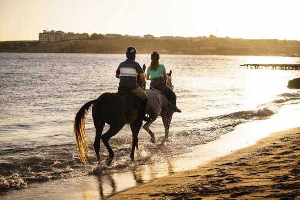 Horseback Riding in Sharm El Sheikh