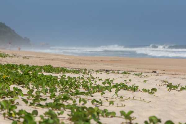 Prainha and Grumari Beach Expedition