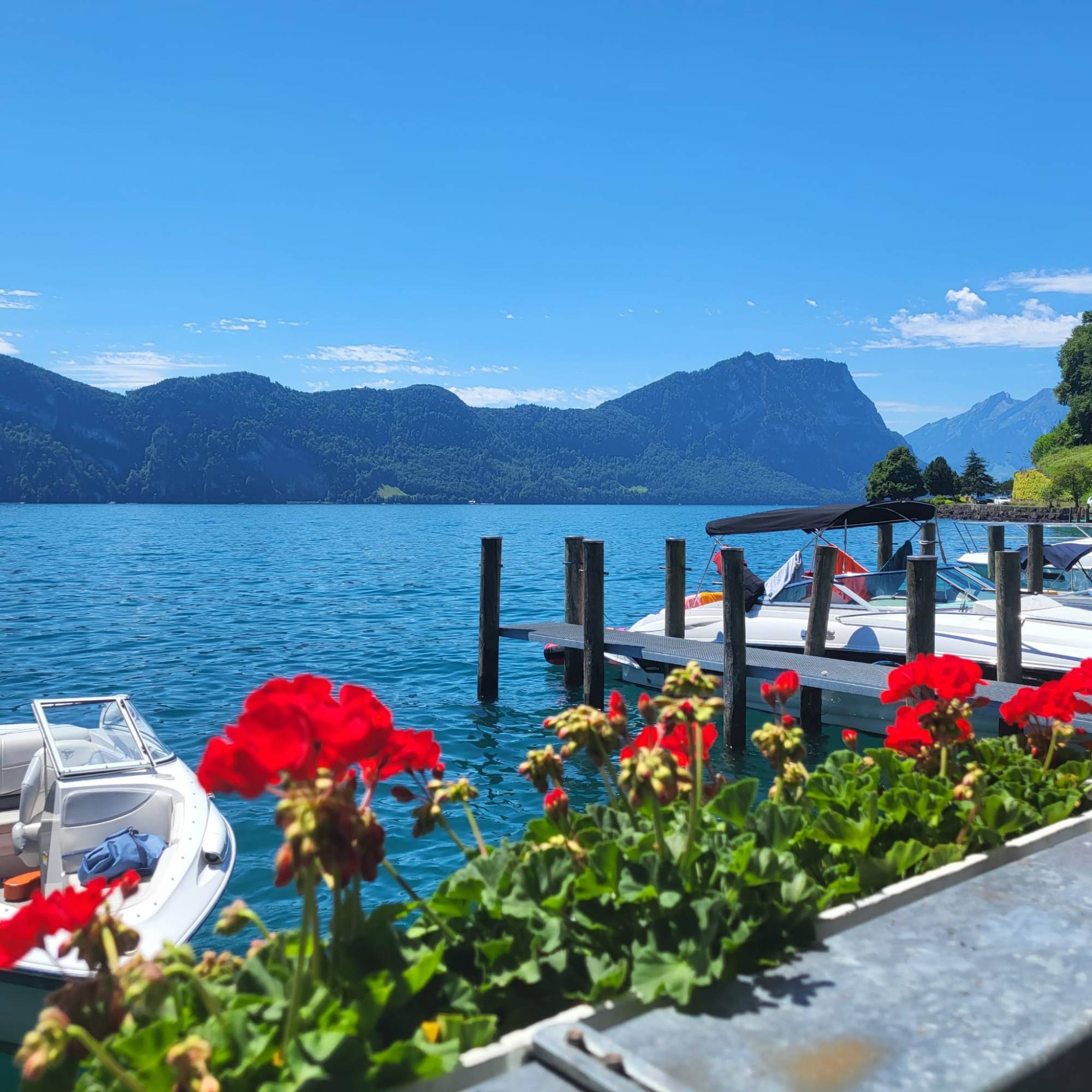 Lake Lucerne boat tour for a day!