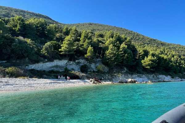 Visit The Island With Private Speedboat