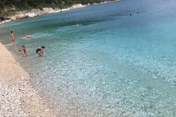 Visit The Island With Private Speedboat