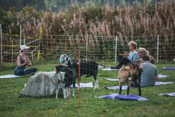 Geissen & Yoga in St. Moritz