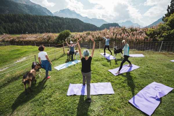 Geissen & Yoga in St. Moritz