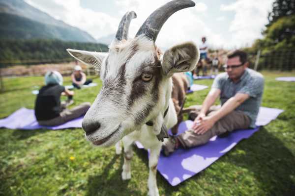 Geissen & Yoga in St. Moritz