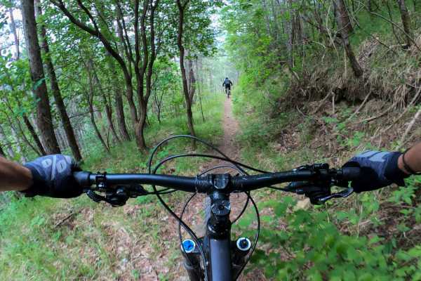 Iron Horse Volcano Mountain Bike Tour