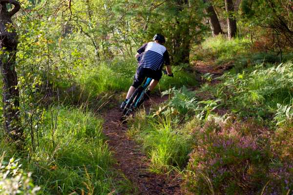 Iron Horse Volcano Mountain Bike Tour